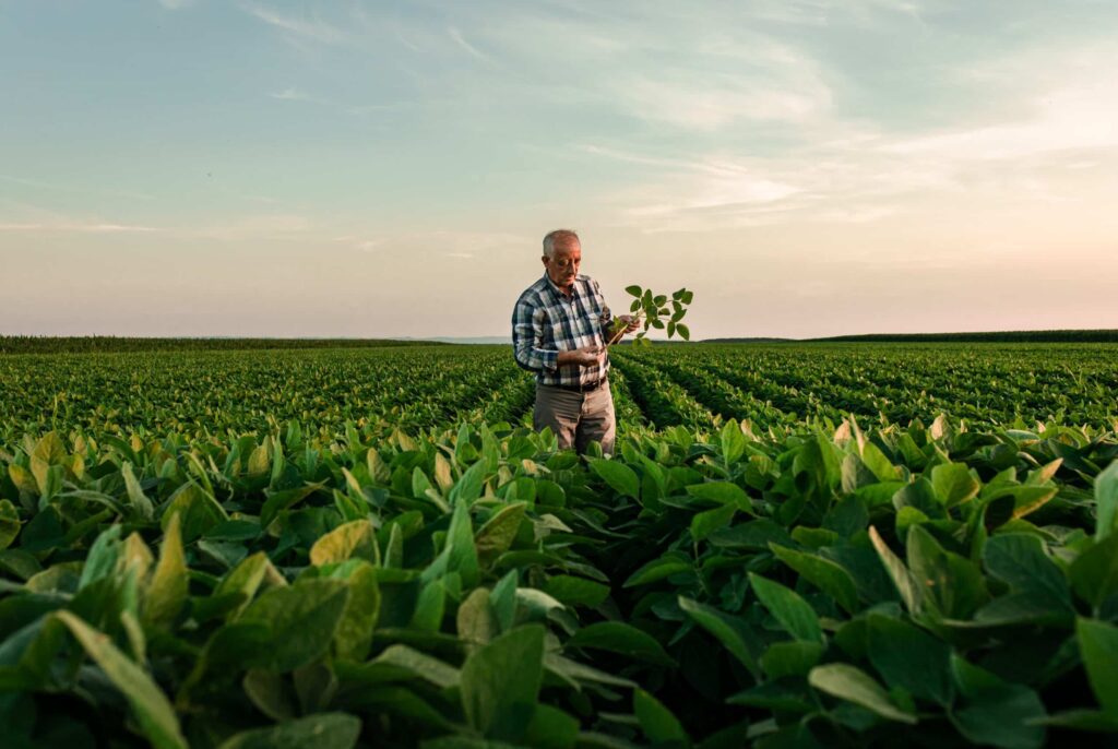 Cashless wage payments for unbanked workers in agribusiness. Track expenses, petty cash, and fuel with card solutions.